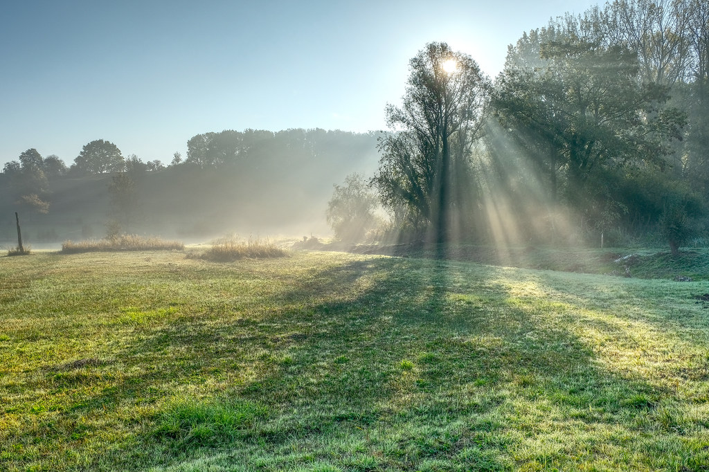 Warm morning sunlight breaking through mist over a quiet green Midwest meadow